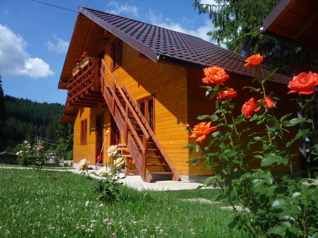 Pensiunea Stefania Lacul Roşu Exterior foto